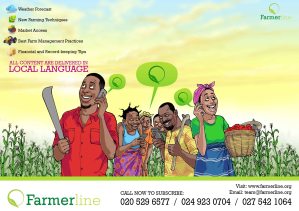 Farmerline Flyer
